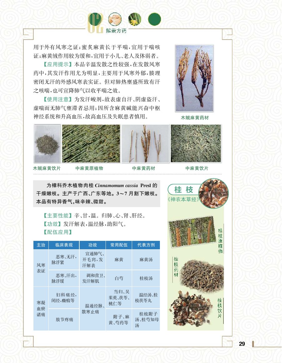 实用中医方药学演示电子书 第 47 页