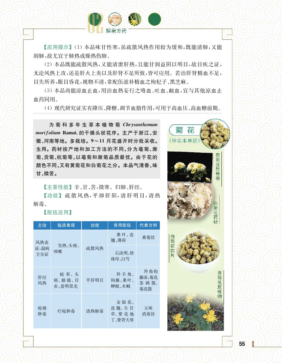 实用中医方药学演示电子书 第 73 页