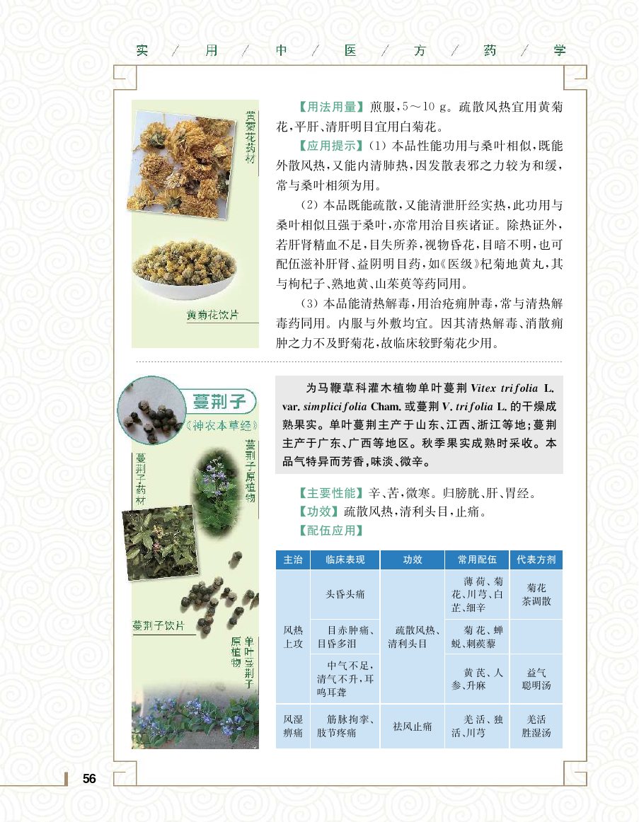 实用中医方药学演示电子书 第 74 页