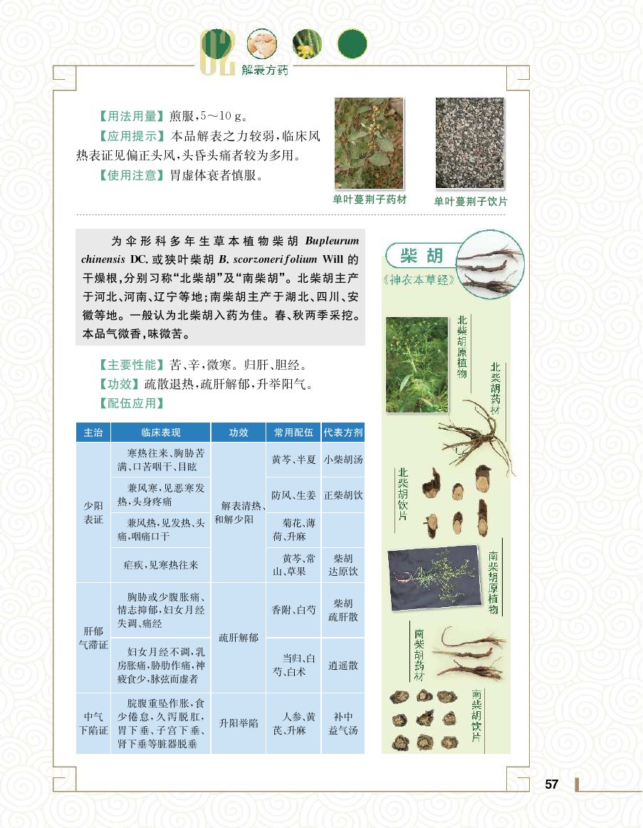 实用中医方药学演示电子书 第 75 页
