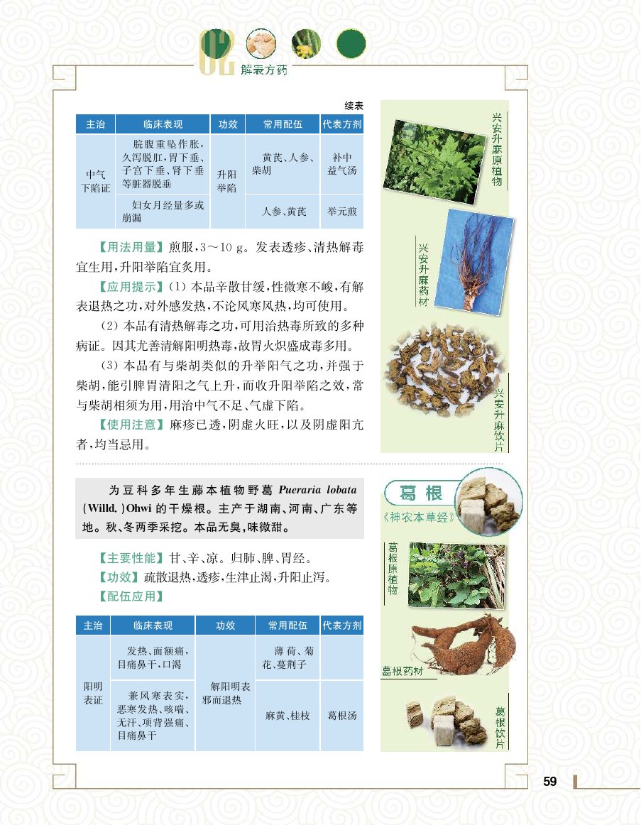 实用中医方药学演示电子书 第 77 页