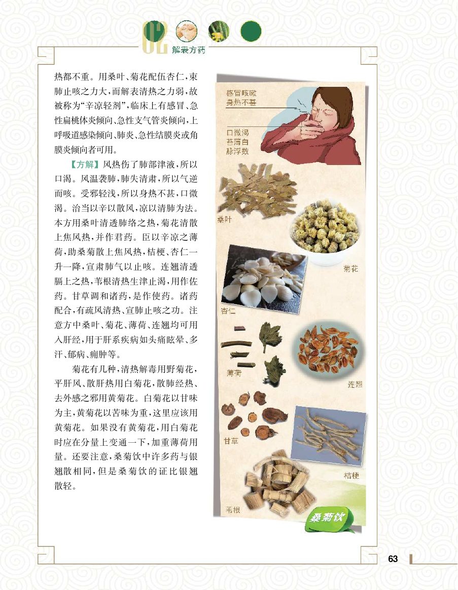 实用中医方药学演示电子书 第 81 页