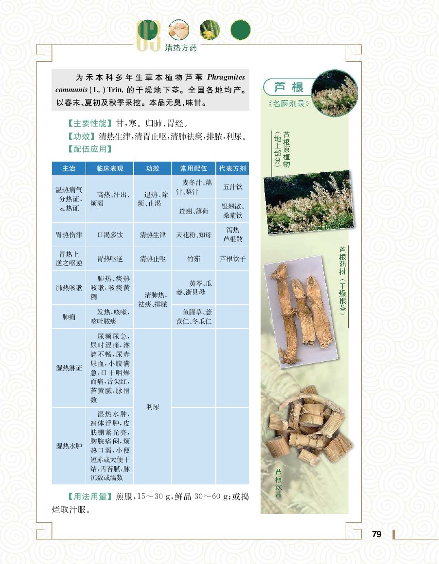 实用中医方药学演示电子书 第 97 页