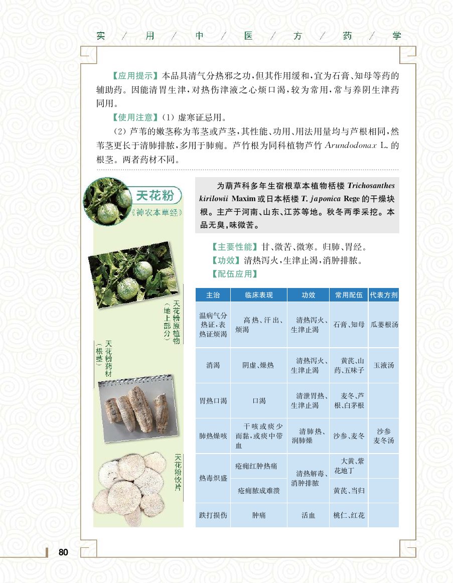 实用中医方药学演示电子书 第 98 页