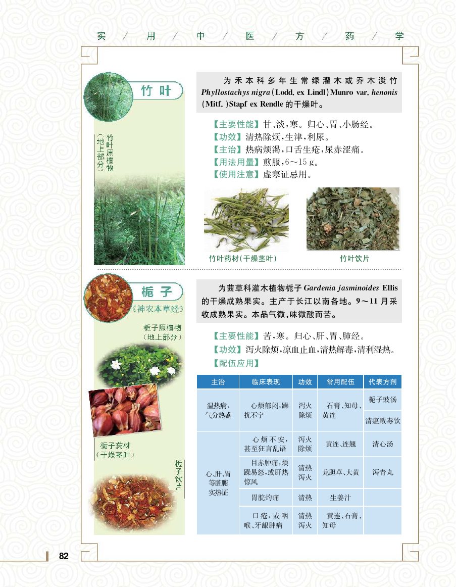 实用中医方药学演示电子书 第 100 页