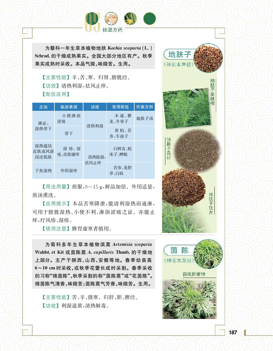 实用中医方药学演示电子书 第 205 页