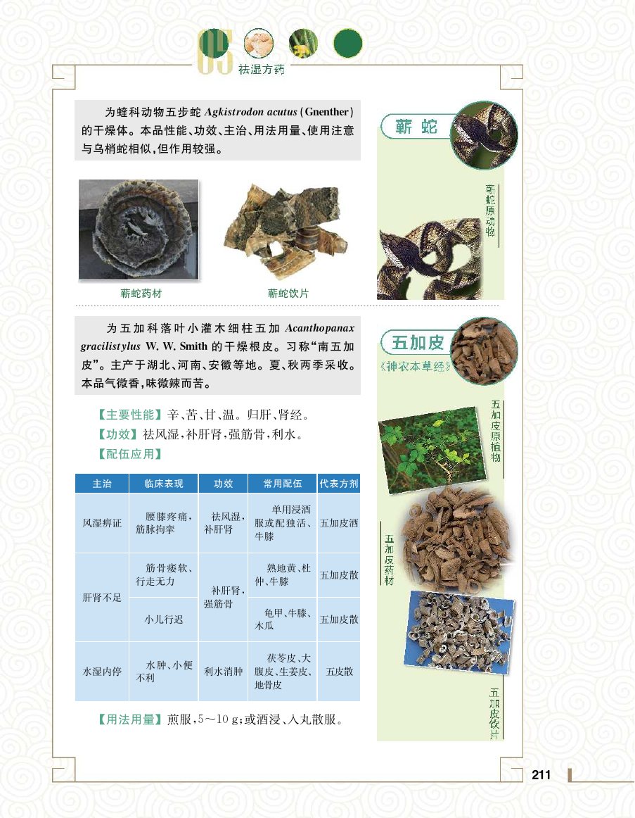实用中医方药学演示电子书 第 229 页