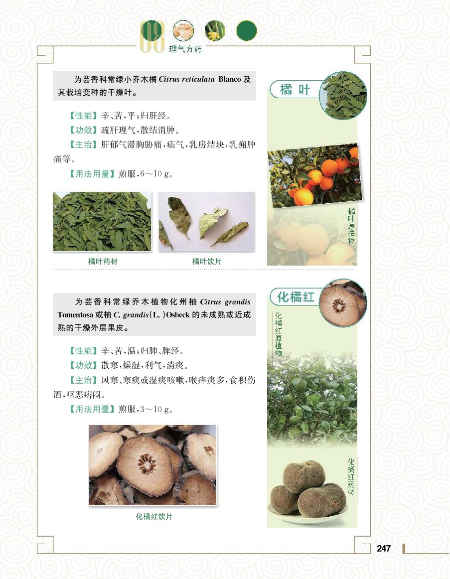 实用中医方药学演示电子书 第 265 页