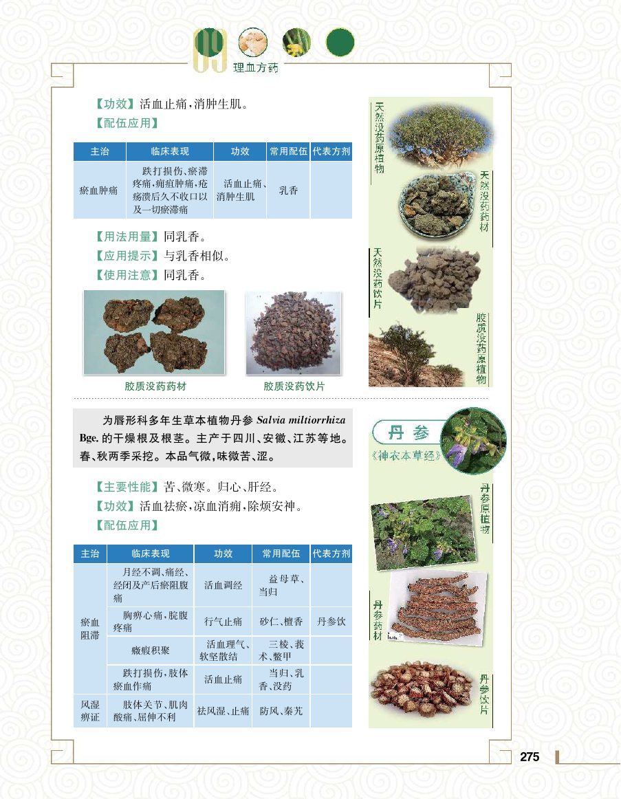 实用中医方药学演示电子书 第 293 页