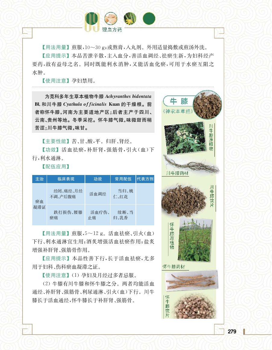实用中医方药学演示电子书 第 297 页