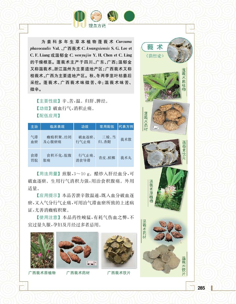 实用中医方药学演示电子书 第 303 页