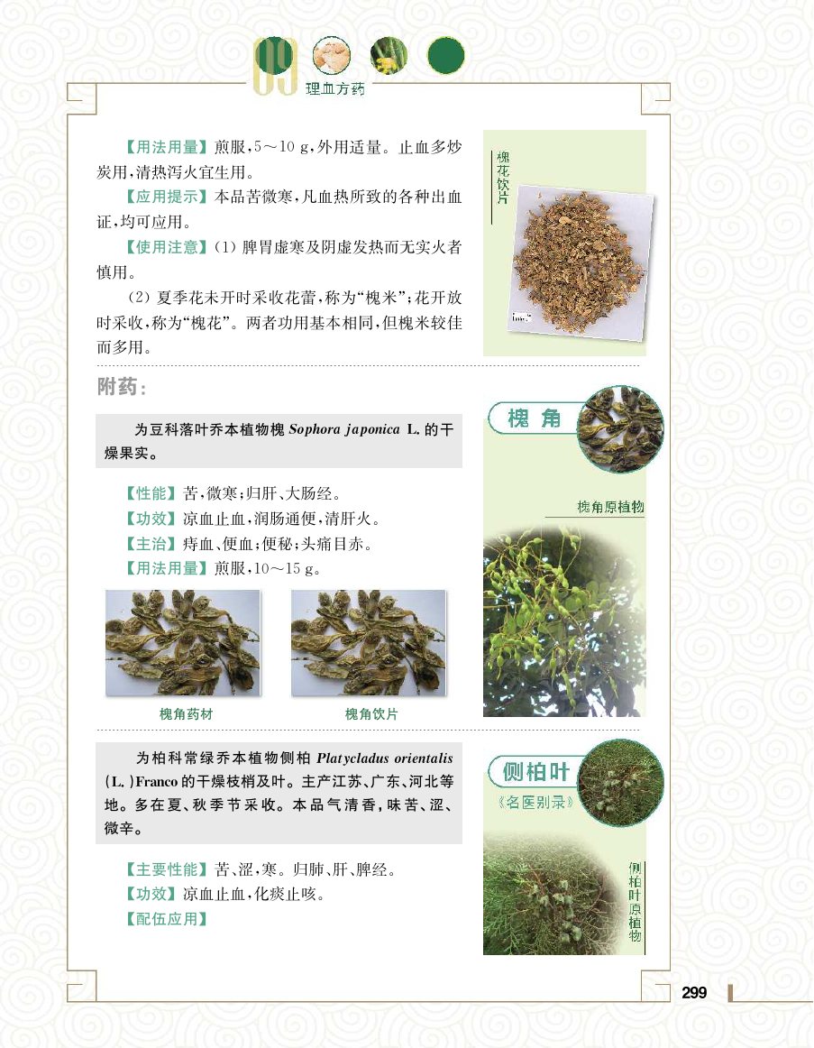 实用中医方药学演示电子书 第 317 页