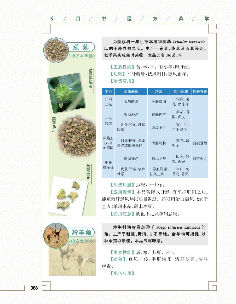实用中医方药学演示电子书 第 386 页