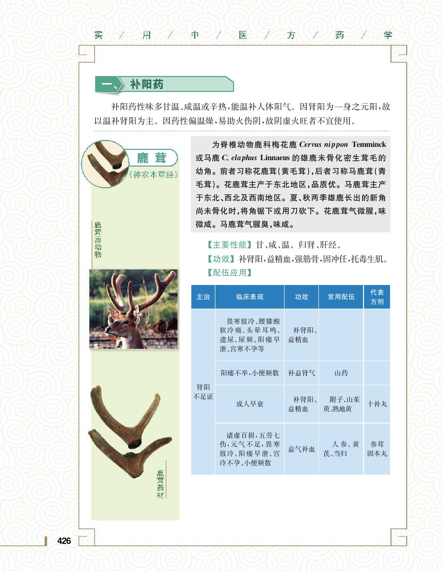 实用中医方药学演示电子书 第 444 页