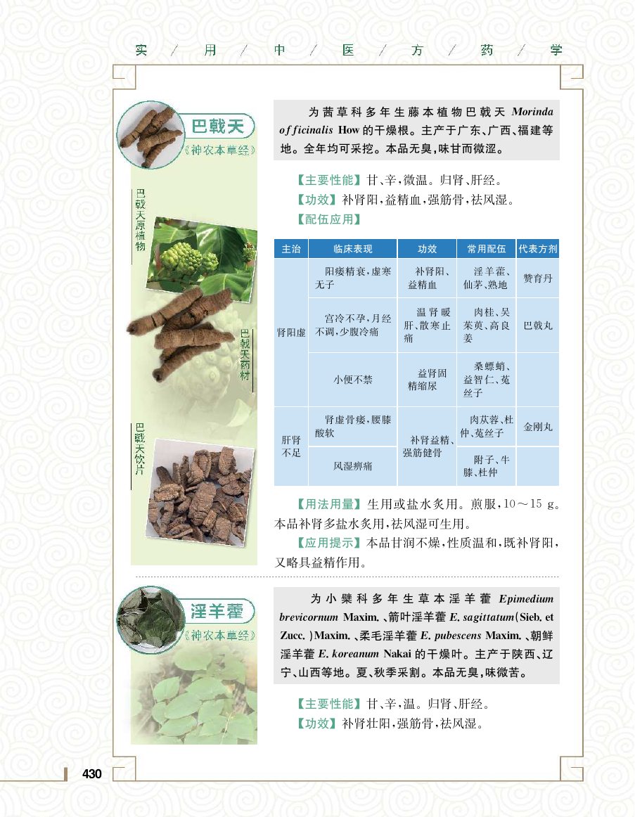 实用中医方药学演示电子书 第 448 页