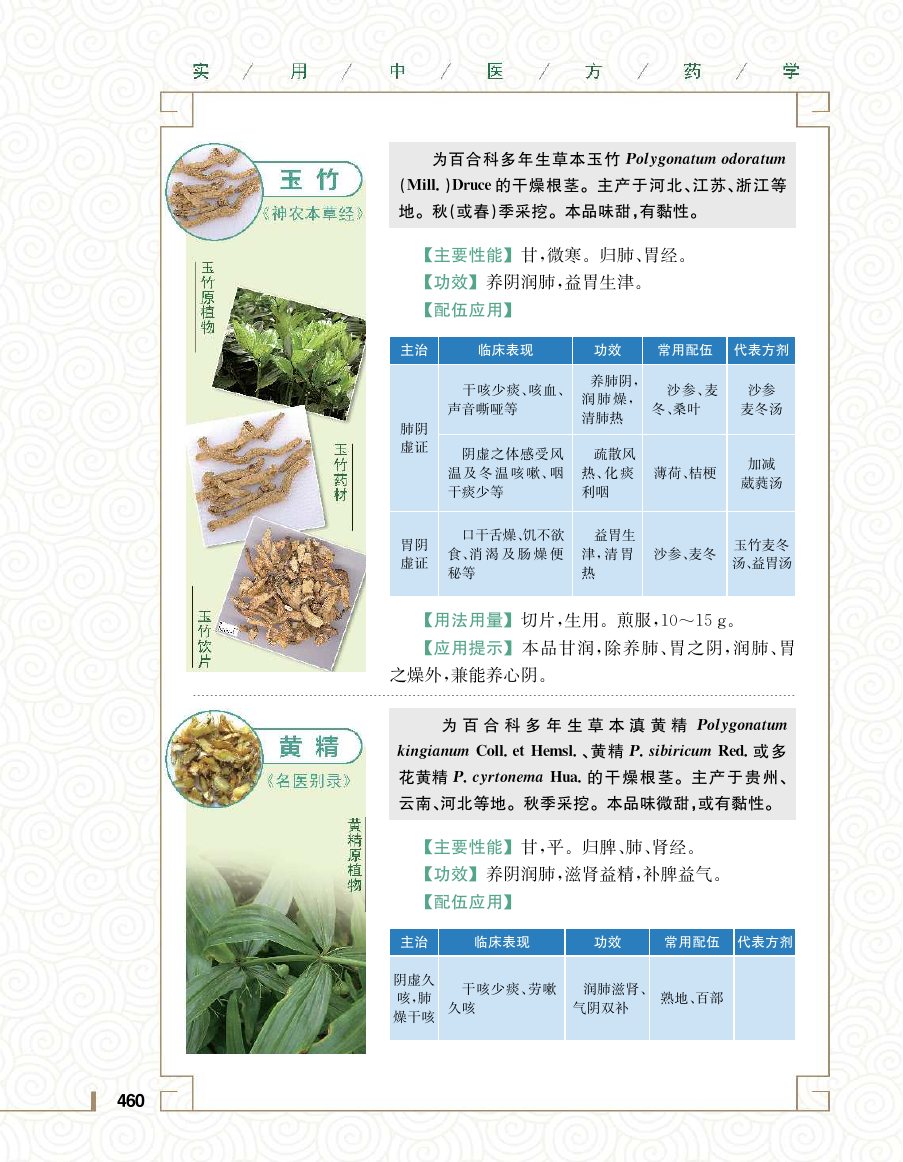 实用中医方药学演示电子书 第 478 页