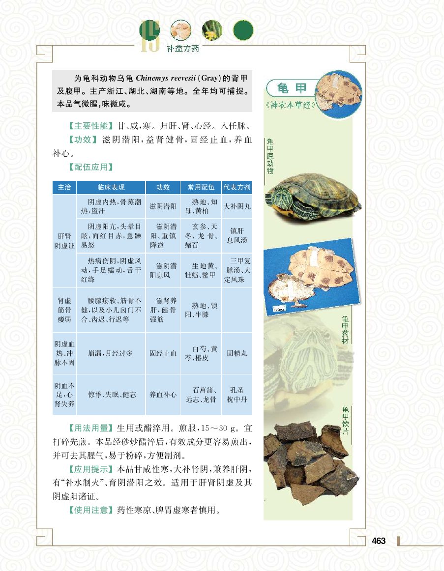 实用中医方药学演示电子书 第 481 页